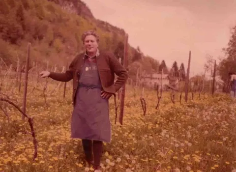 Neuanlage Müller-Thurgau_Fennberg_1.000m Meereshöhe_Herbert Tiefenbrunner Neuanlage Müller-Thurgau_Fennberg_1.000m Meereshöhe_Herbert Tiefenbrunner