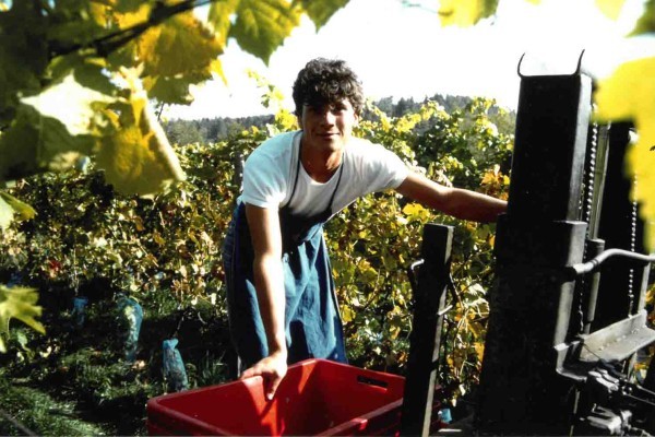 Christof Tiefenbrunner_Vendemmia_1983