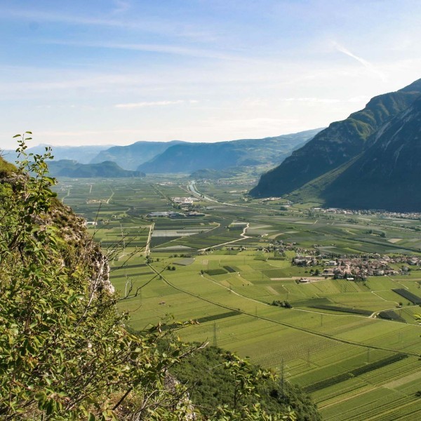 Margreid | Punggl | Kurtinig Margreid | Punggl | Kurtinig