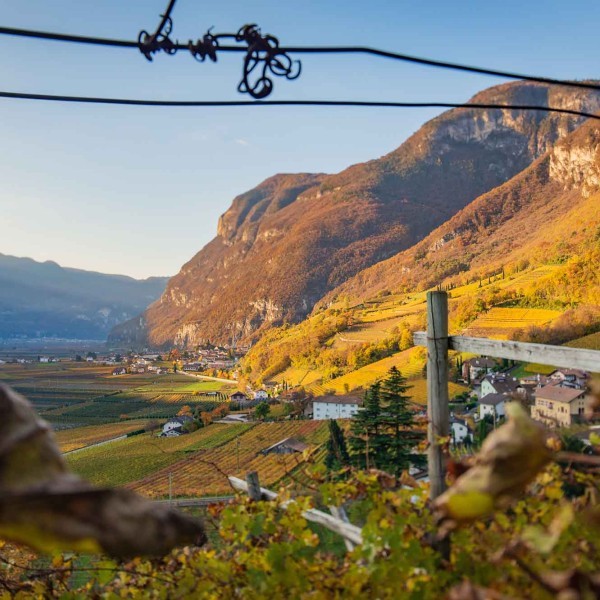 Entiklar | Margreider Leiten Entiklar | Margreider Leiten