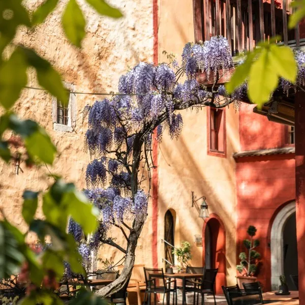 Bistro & Winebar Bistro & Winebar