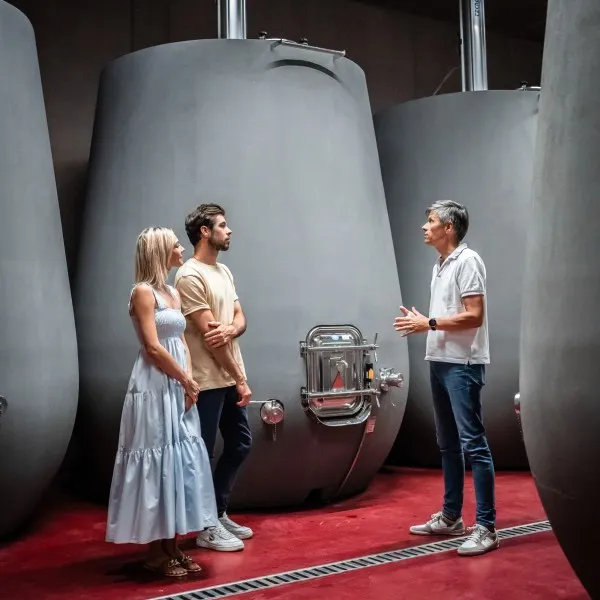 Führungen Führungen